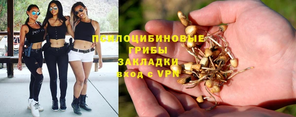 альфа пвп Вяземский