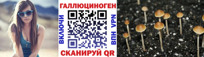 Псилоцибиновые грибы GOLDEN TEACHER  Купить где  Минусинск 
